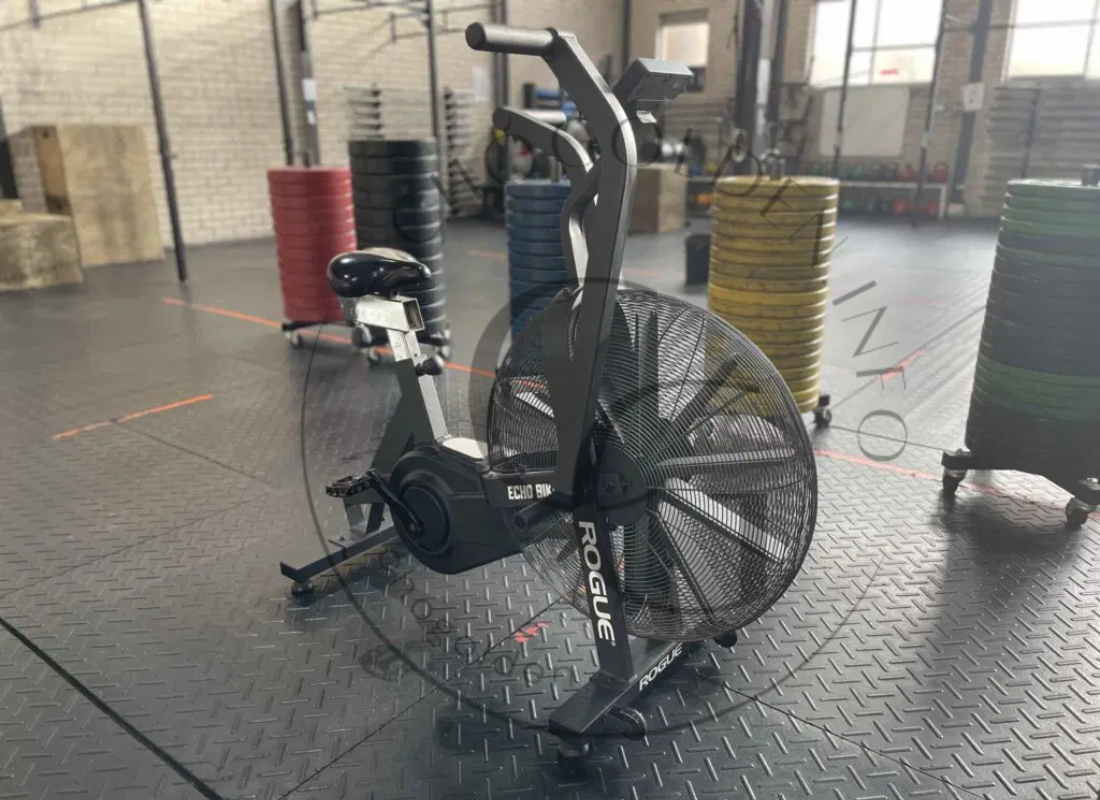 Echo Bike fitness equipment